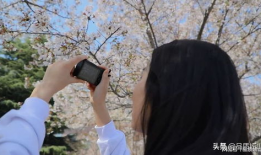 校园春色在线视频,在线视频捕捉青春活力瞬间